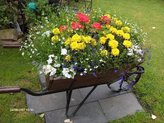 Mum's Pretty Flowers in her Garden