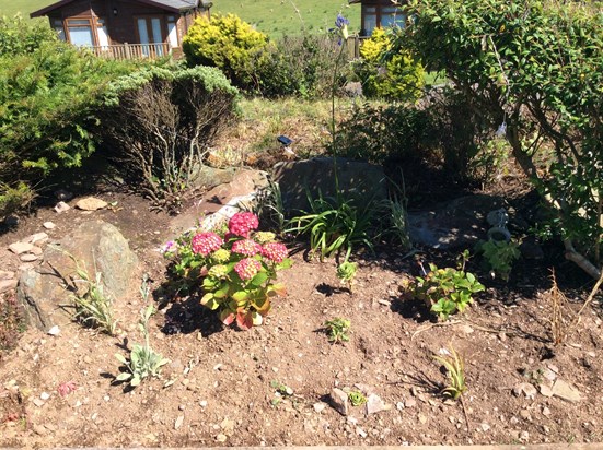 Terri's memorial garden opposite the lodge: kindly made by our neighbours.