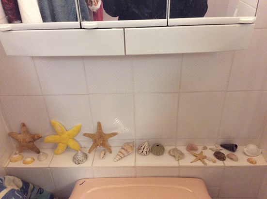 Terri likes her seashells: in the bathroom at the flat. 