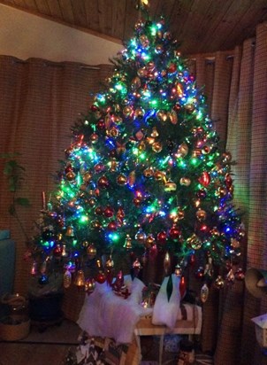 Terri’ Christmas tree from 2015: I try to re-create it every year in your memory Terri. ????????????