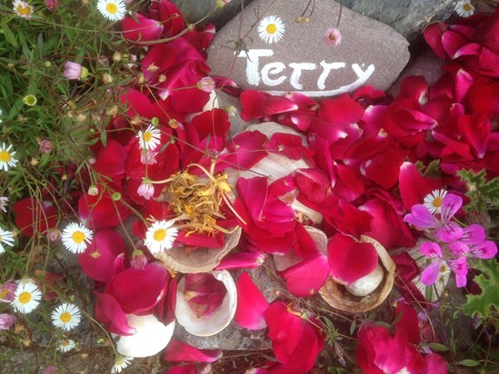 Replacing the plaque that was stolen. Rose petals have replaced foxgloves and honeysuckle now. ??