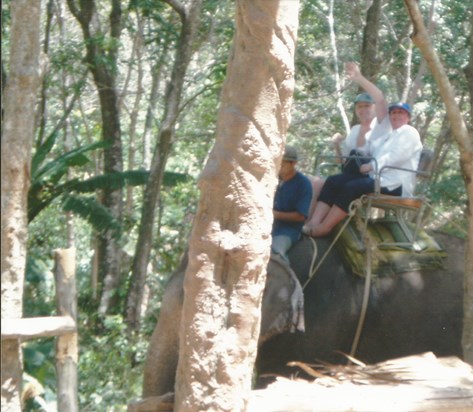 On an Elephant ride Phuket