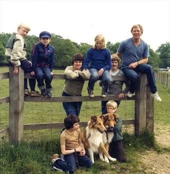 New Forest 1980