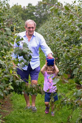 Picking Plums with Pops!