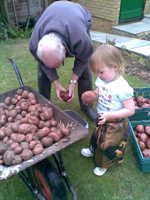 Cara on the allotment with Grandad