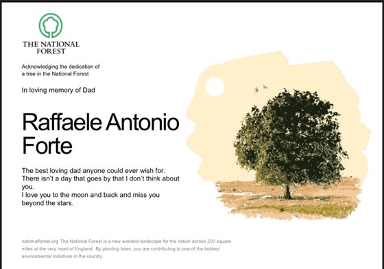 Tree planted in dads name x x 