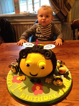 Henry's 1st birthday. He loved "The Hive" so we had a Buzzbee cake made by friend Mandy.