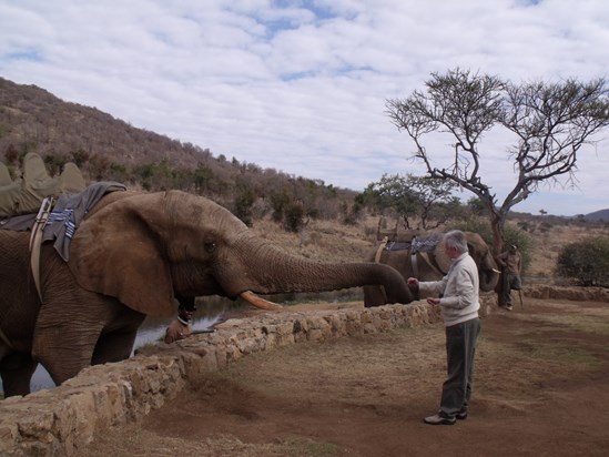 Feeding an elephant at Sun City