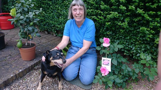 Bev with Little Beverley (the rose) and Pablo (the dog)