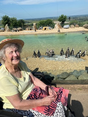 Nanny’s first ever trip to the zoo at 90 years old. Nanny pretended that she could see most of the animals despite not wearing her glasses. She then later on asked if we had seen certain animals that she had pretended to have seen!