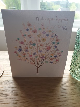 Cards from friends and family