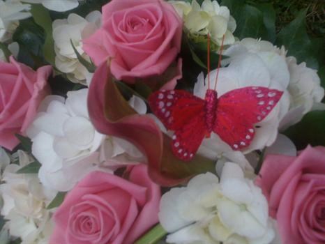 A butterfly for our Barbie x