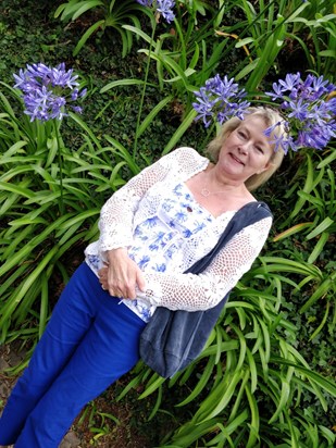 Agapanthus were Shirley's favourite flowers