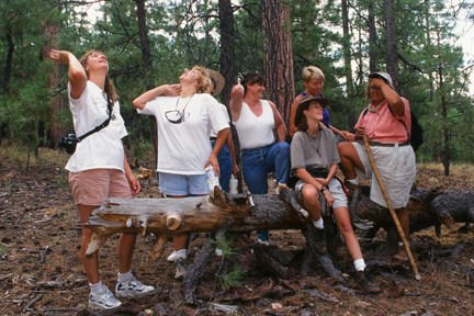 Artist Way Group playin for the camera at campground in N AZ (1996)