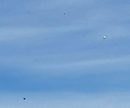 Balloons flying high in the sunny Mudeford sky