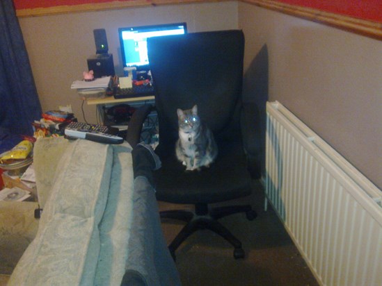 Pepper stole my chair 13/02/13