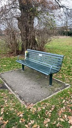 Lynda's favourite bench in Perivale Park which now bears a memorial plaque to her.