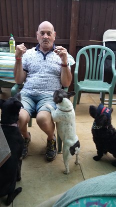 Dad and the Dogs.