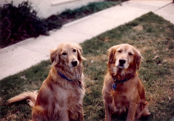 Goldie & Max