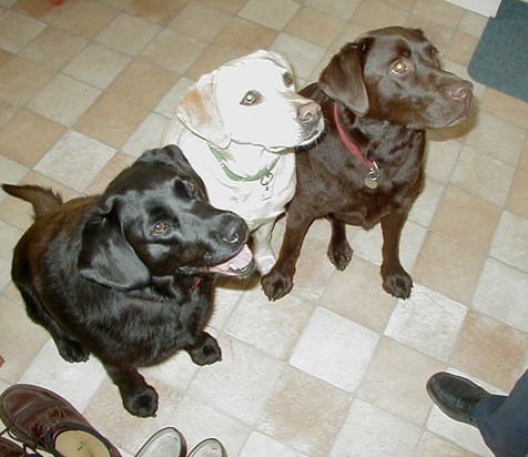 Megan, Bonnie and friend