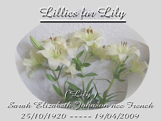 Lillies 4 Lily