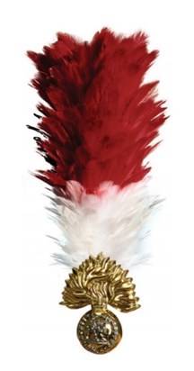 ROYAL REGIMENT OF FUSILIERS RED WHITE HACKLE JIMMY PROUDLY WORE WITH GREAT HONOUR 