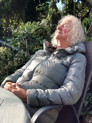 Mum sleeping in the cool sun in her lovely back garden - her favourite place in the world. 