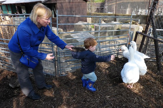 At a City Farm, Marilyn protecting Owen from the geese. Or possibly the other way round.