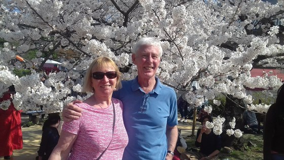 Stephen and Marilyn in Japan