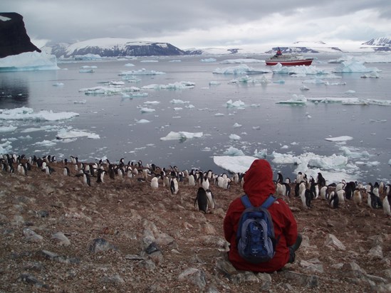 Marilyn in Antartica