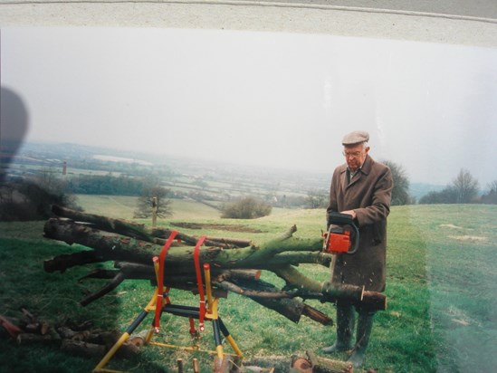 Sawing with a view.