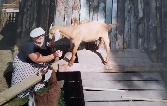 Mum saying hello to Rusty the goat 