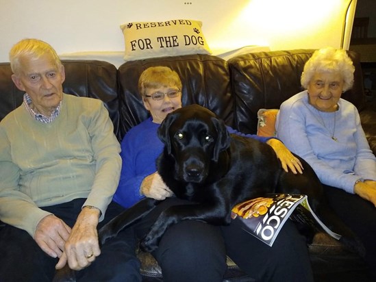 Ted thinking he’s a lap dog or reading the sign maybe?🤔 