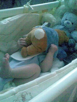 max with teddies