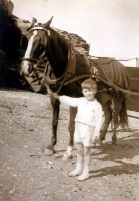 1931 - Jack Boy Horse