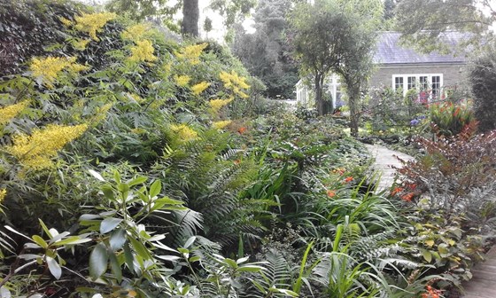 Garden at Howarth Cottage, 2017