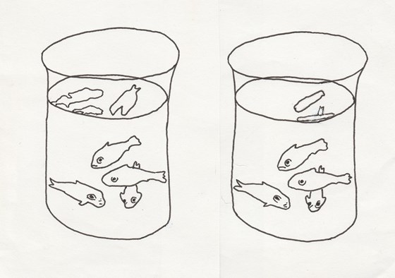 Matisse's goldfish (left), Alan's correction (right)