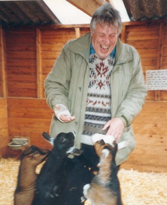 Dad Laughing with Goats