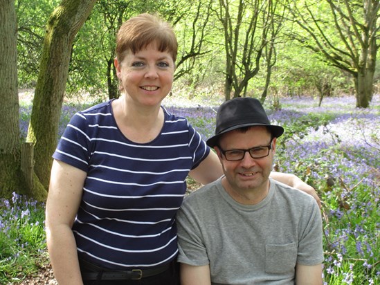 Bluebell Wood Tackley 2016 