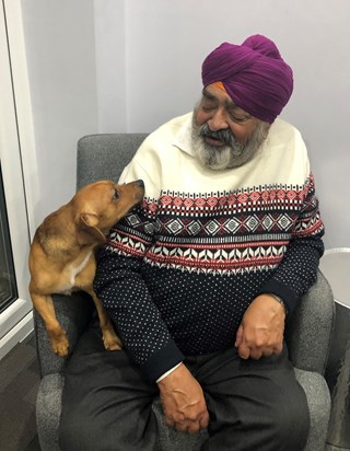 Dad & Prince - Whose sitting in my chair? - 1 January 2019