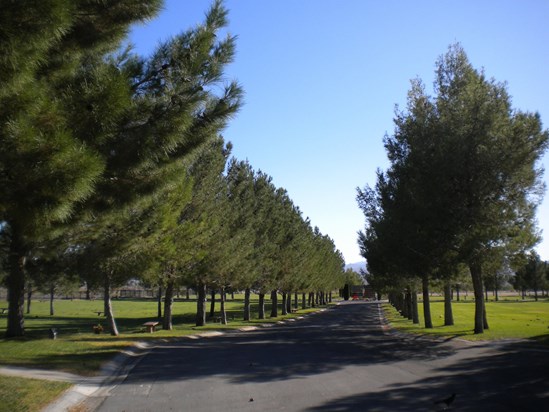 The Veterans Memorial Cemetery - the tranquil road down to the memorial wall.