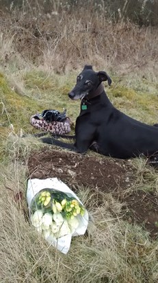 Ivy and I laying flowers where we scattered your ashes you are in our thoughts