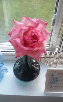 A Beautiful Rose for a Beautiful Baby Girl 2018