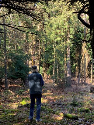 A lockdown walk to the forest, you loved it