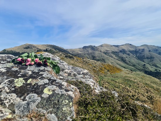 A climb up to the top to wish you a cheers x