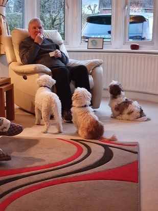 Dad commands respect from the Granddogs