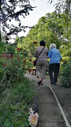 A garden walk, September 2017