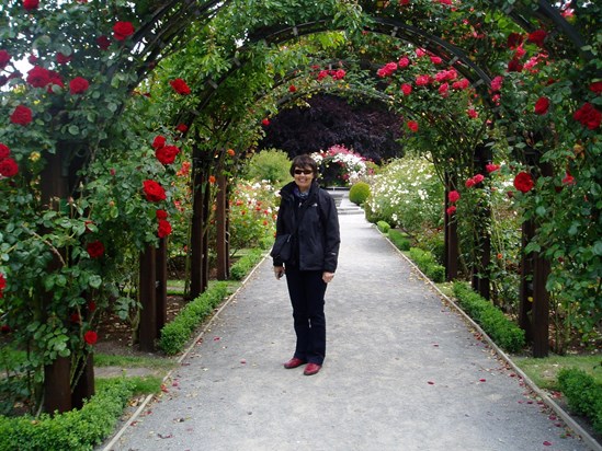 Christchurch Botanic Gardens, NZ
