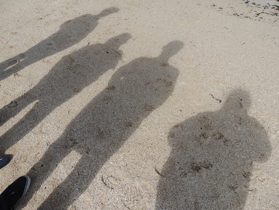 Our shadows in the sand