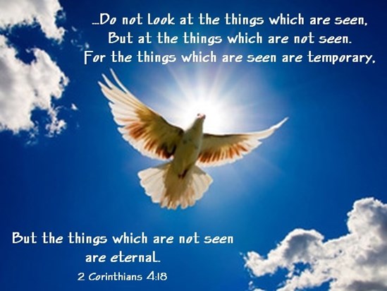 Dove Of Eternal Hope